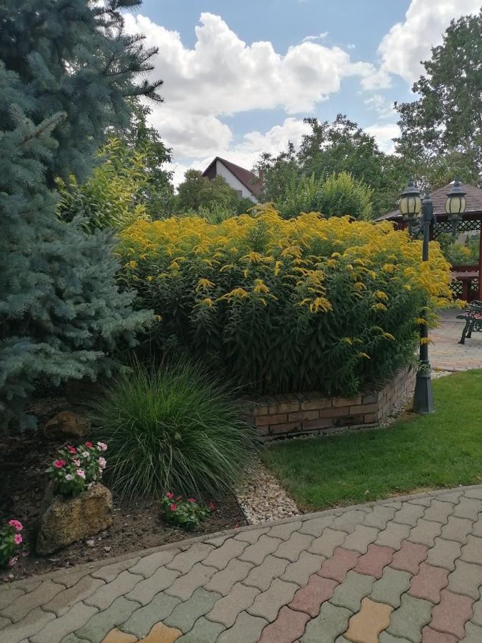 Kaktuszvirag Apartmanhaz Hajdúszoboszló Exteriör bild